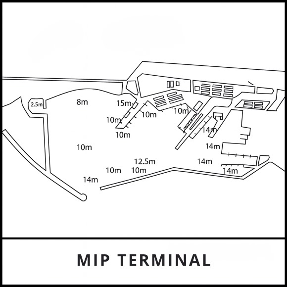 MIP